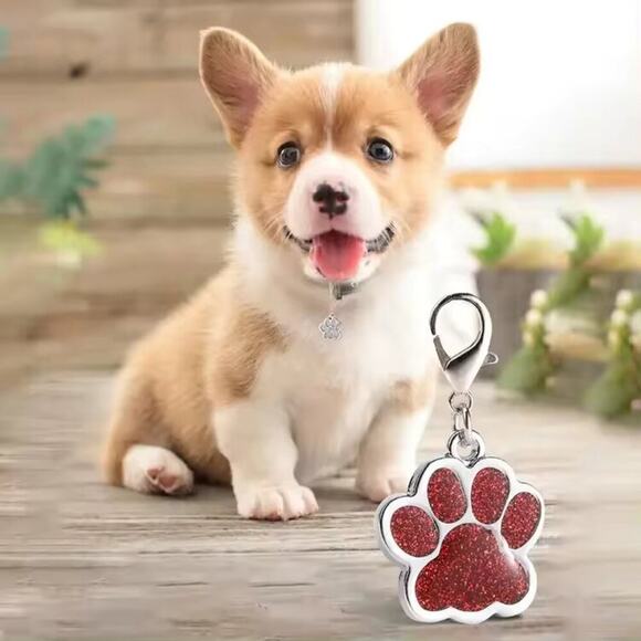 Personalized Engraved Metal Dog Paw Name, ID Tag, QR Code Powered By ScanKeep - Picture 1 of 10